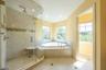 Master Bath Shower Tub