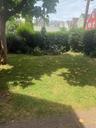 ANOTHER ANGLE OF BACKYARD