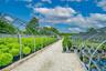 View of home's community featuring a vegetable garden