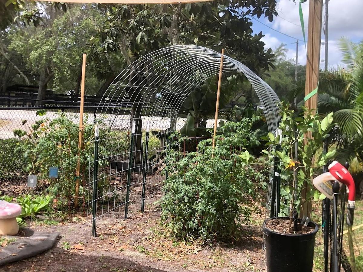 Organic Garden