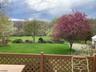 Yard View