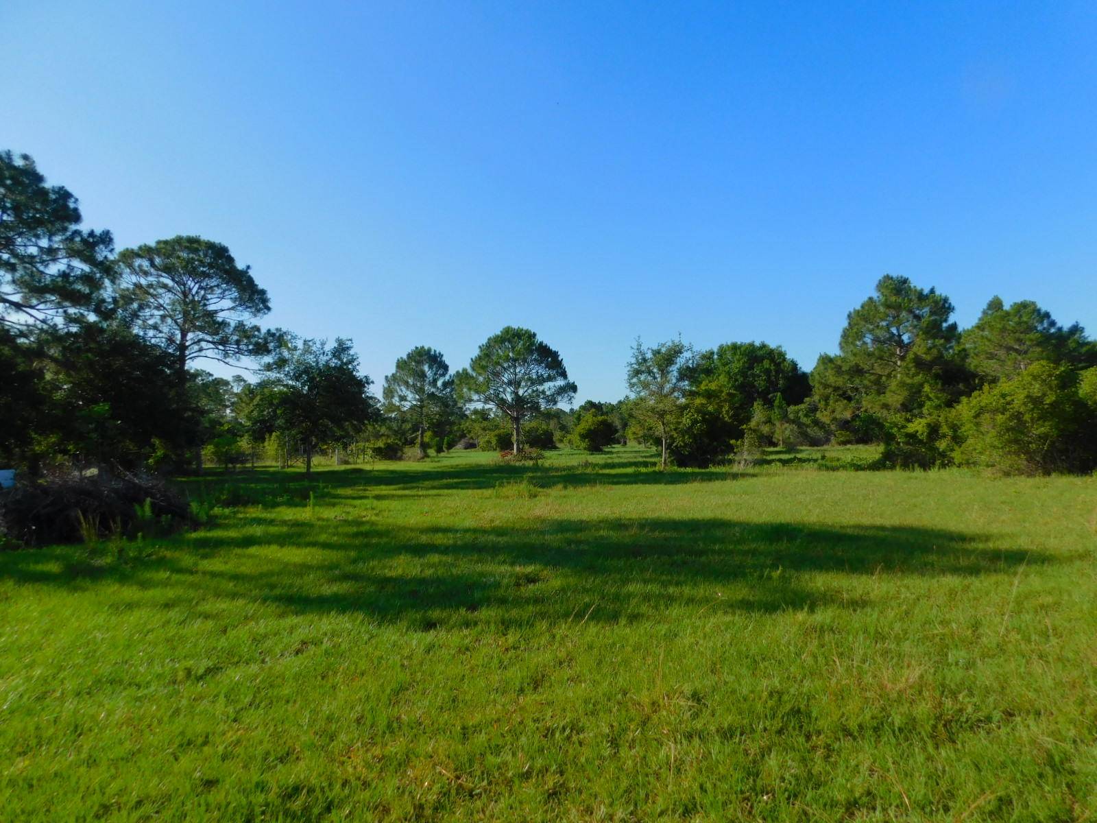14. 71 ACRES FOR SALE AND LAND WAS HOMESTEADED.