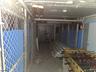 Some Kennels in the Basement