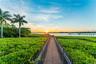 Sunset Pathway