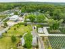 Aerial view of a forest