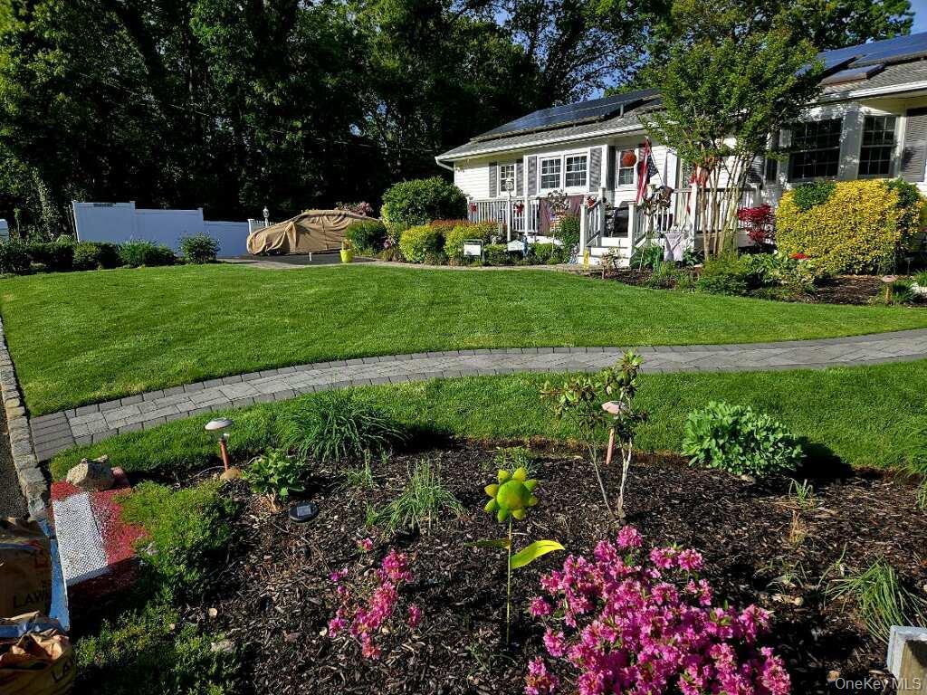 Springtime is around the corner!