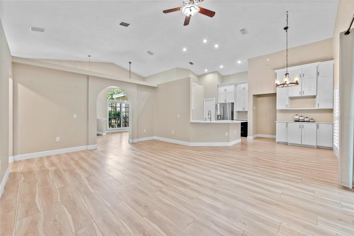 large living room area (2)