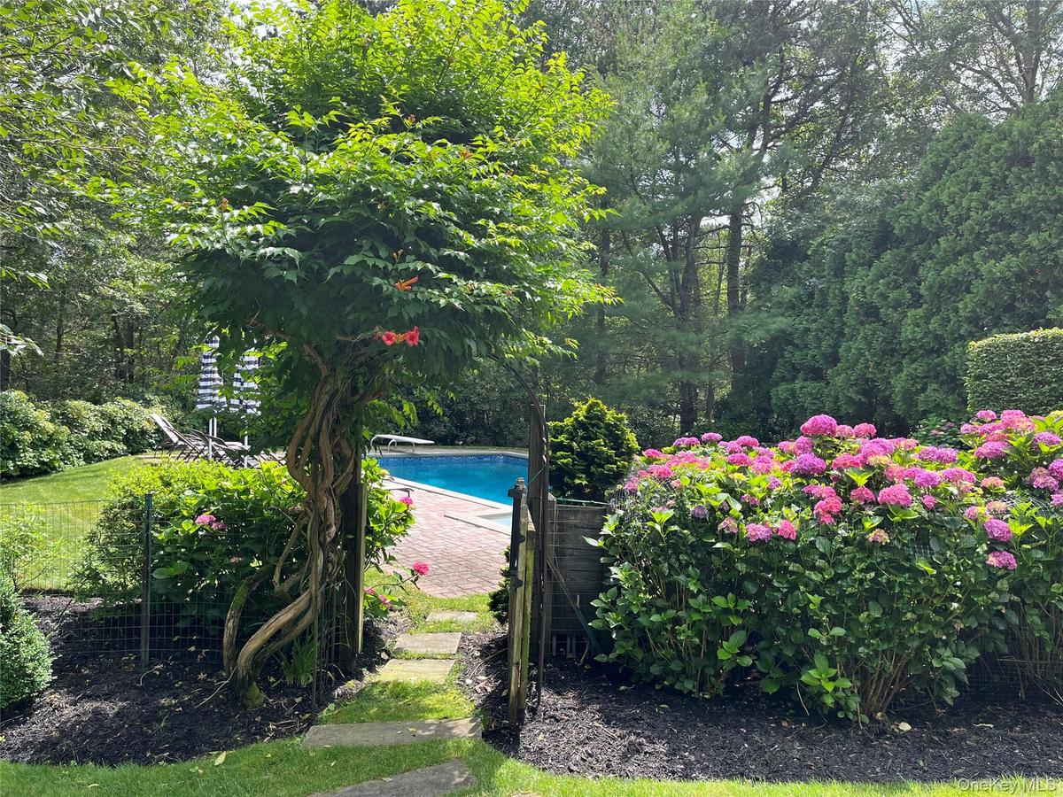Outdoor pool featuring a diving board