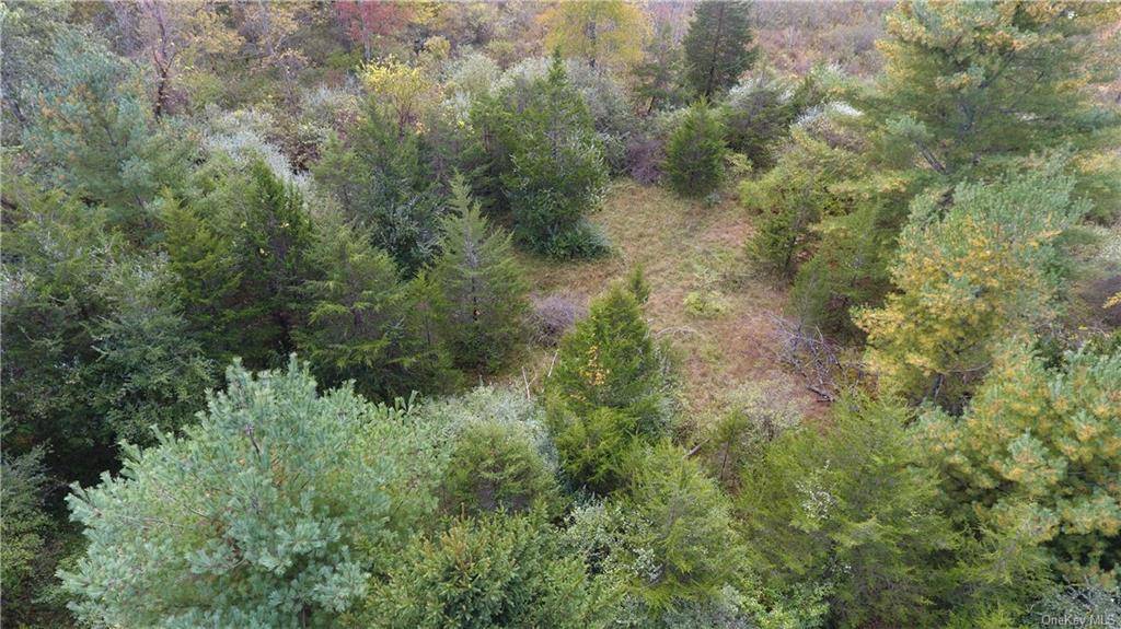 Build your dream home on this conveniently located acre of beautiful land.