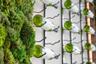 Biophyllic greenwall and wine display, complete with Thermador™ wine tower