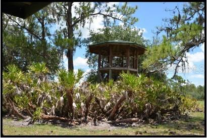 Hunting Stand
