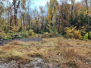 Just under 42 quiet acres of land ready for you to build on with complete privacy or subdivide into multiple building lots.