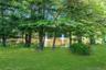 Expansive lawn with mature trees and a tranquil pond featuring two water fountains