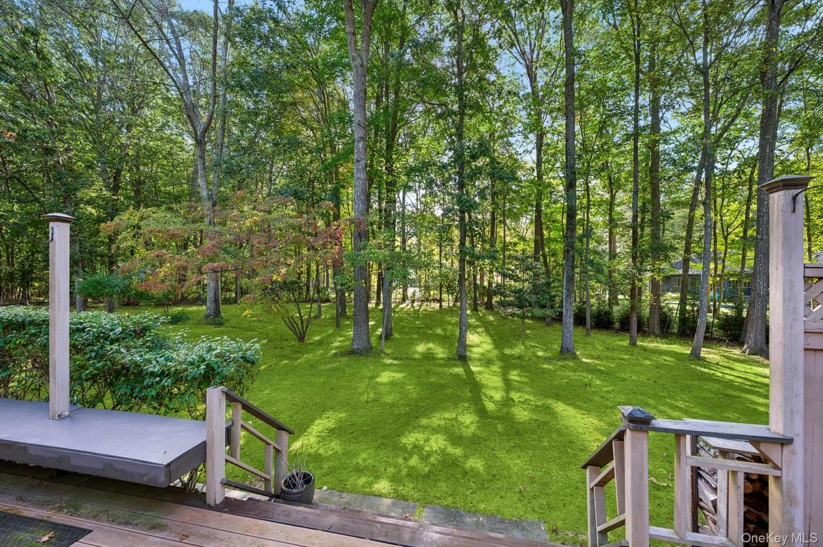 View of grassy yard