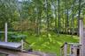 View of grassy yard