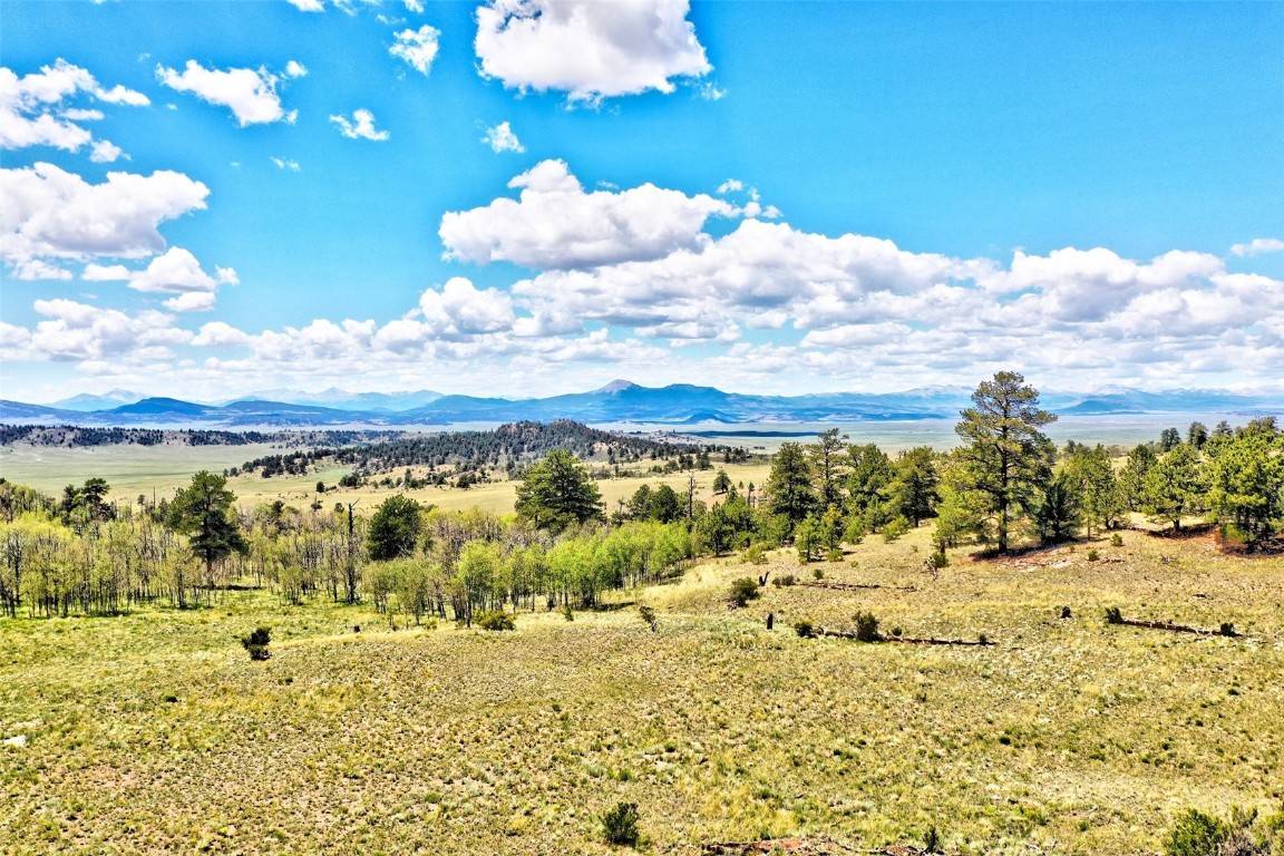 Jaw Dropping 4. 61 acres in of views, trees relaxation.