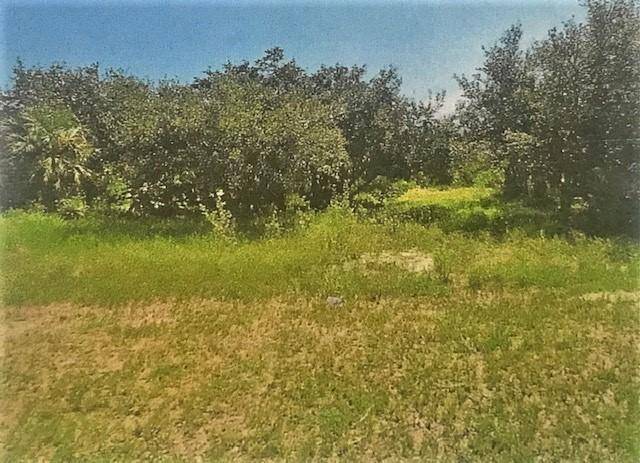 Build your dream home on this Beautiful corner treed lot.