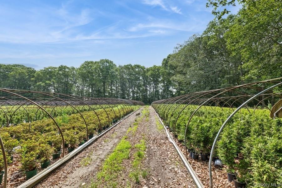 View of yard with a vegetable garden