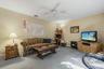 Dappled sunlight streams in, creating a warm and inviting atmosphere