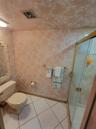 Primary bath and shower