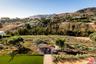 Vineyard View