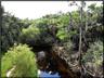 Charlie Creek and woods