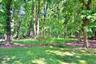 Backyard & Woodland Area