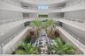 Stunning open-air atrium, bringing natural light and tropical beauty to the heart of the building.