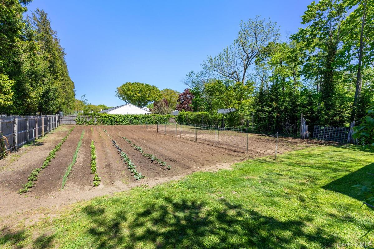Planting field