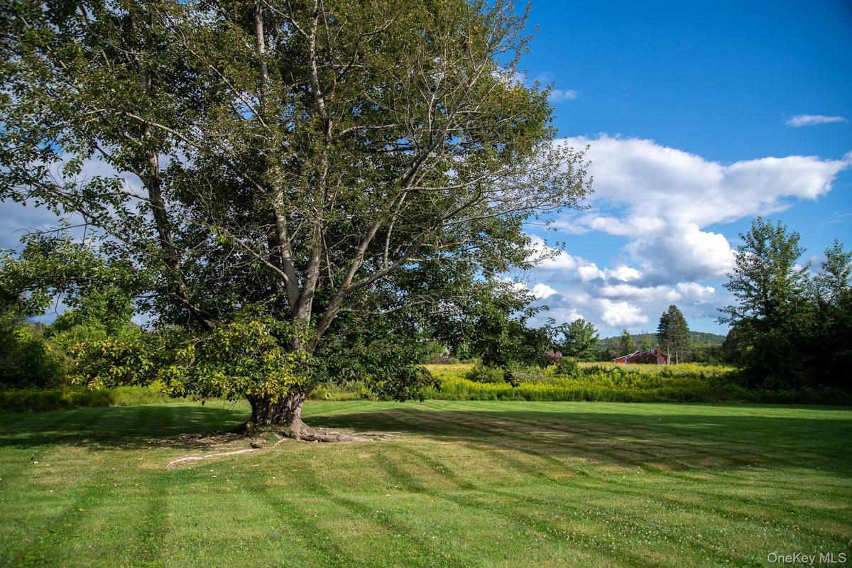 View of green lawn featuring view of wooded area