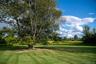 View of green lawn featuring view of wooded area