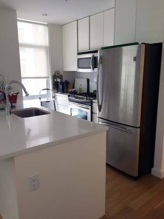 We have a gorgeous and large one bedroom apartment located in Boerum Hill available to rent as soon as possible !