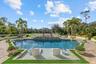Backyard Pool Area
