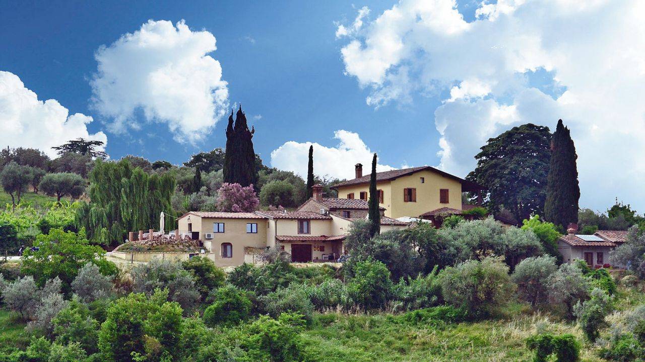 Farmhouse with vineyard for sale in Montepulciano in the Tuscan countryside. Activities accommodation for sale with restaurant. Land with vineyard