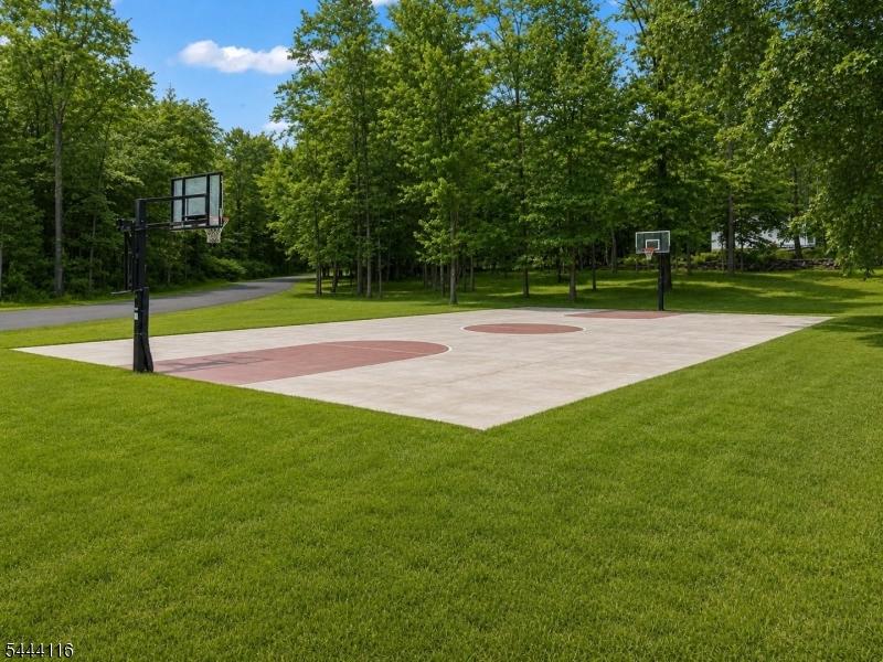 Private Basketball Court