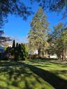 Side yard