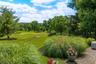back yard views