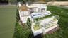 Multi Terraces all facing the Lake