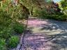 Spring!
