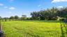 paddocks
