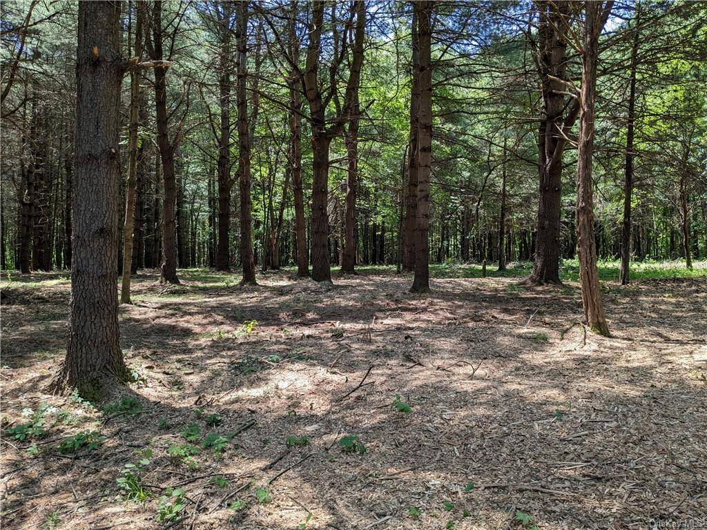 Oversized parcel to build a dream home in the Sleepy Hollow Lake private community.