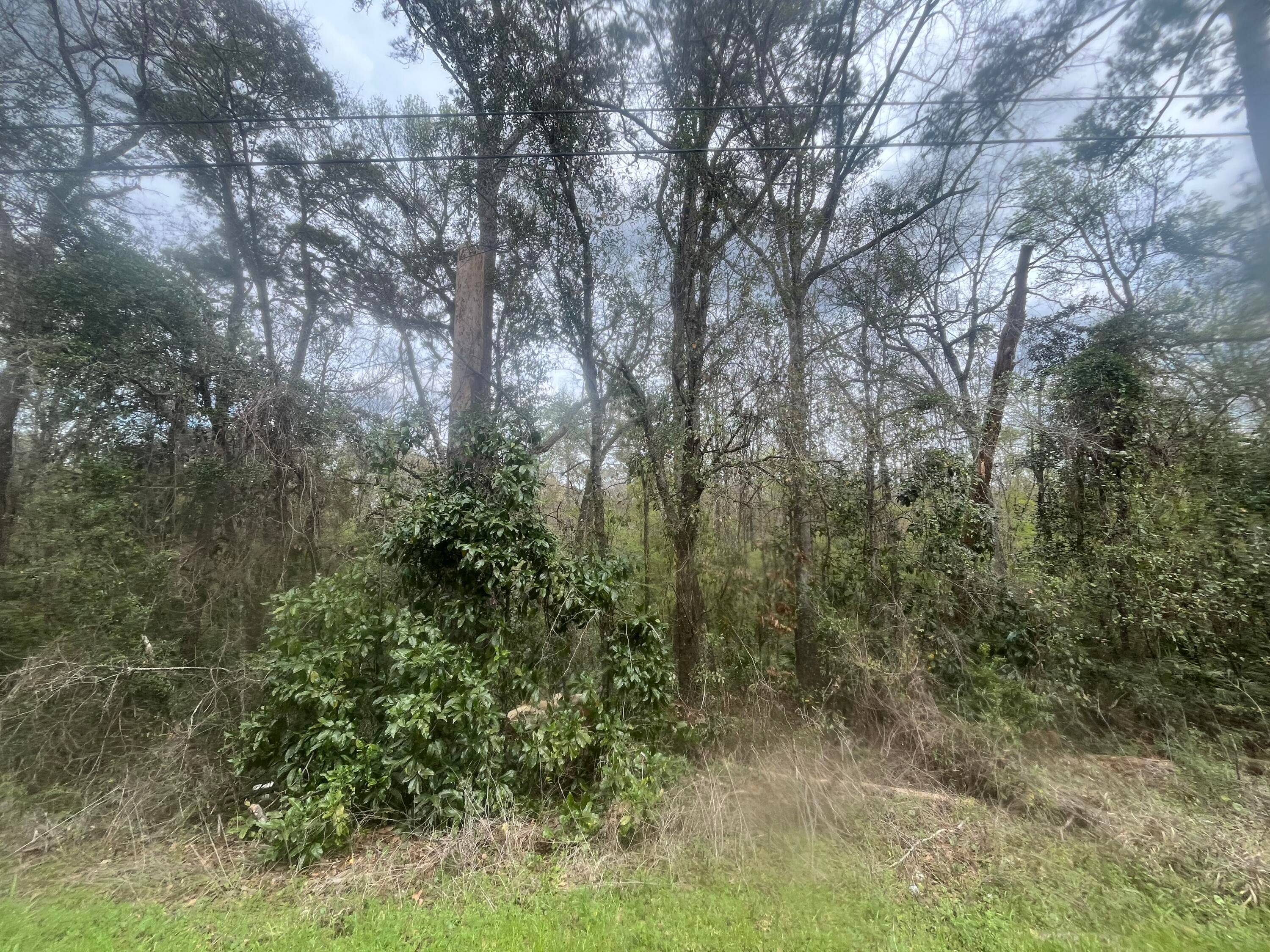 Build your dream home on this beautiful almost one acre lot in a booming area of Clay County !