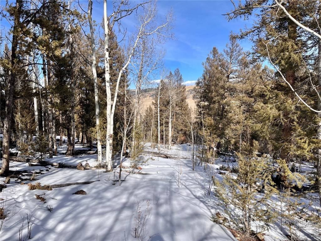 2 PRIVATE acres in desirable Redhill Forest where the serene setting among the healthy mix of Aspen Pine trees welcomes you in !