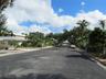 Lushly Landscaped Canopied Street