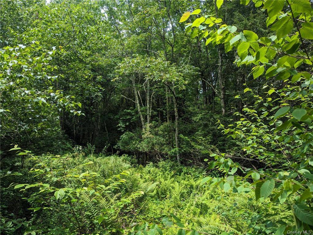 Wooded and level building lot in Salem Ridge subdivision.