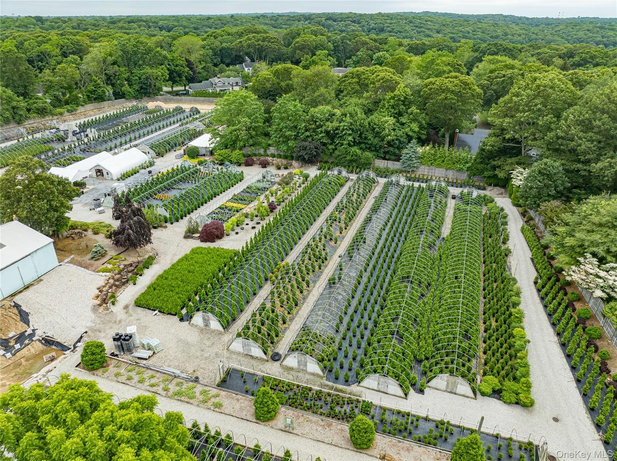 Aerial view of sparsely populated area featuring rows of crops and a forest