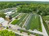 Aerial view of sparsely populated area featuring rows of crops and a forest