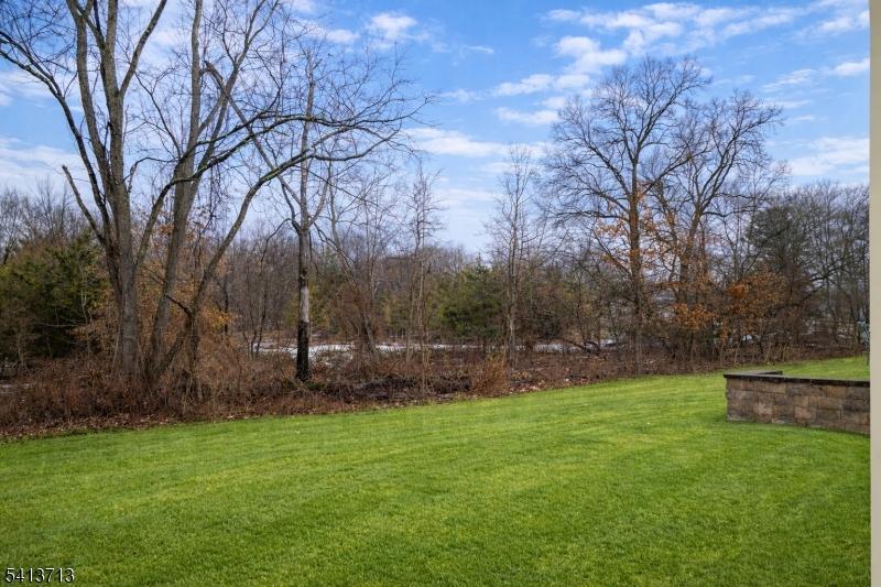 Wooded Lot