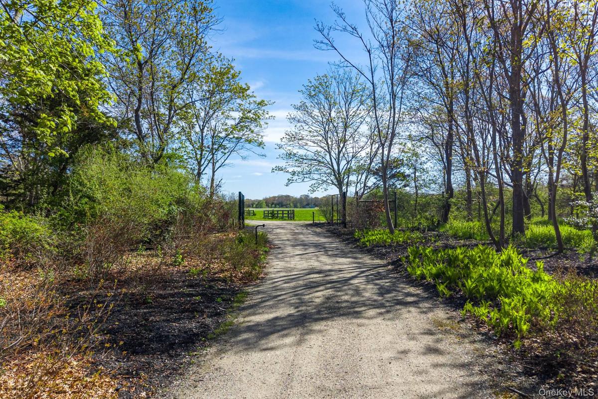 3123 & 3595 Skunk Lane, Cutchogue
