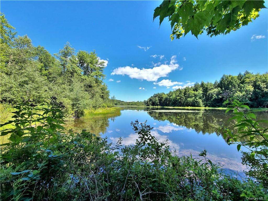 Amazing ! Almost 50 acres of absolutely stunning property could be the perfect home site and recreational land you have been searching for.